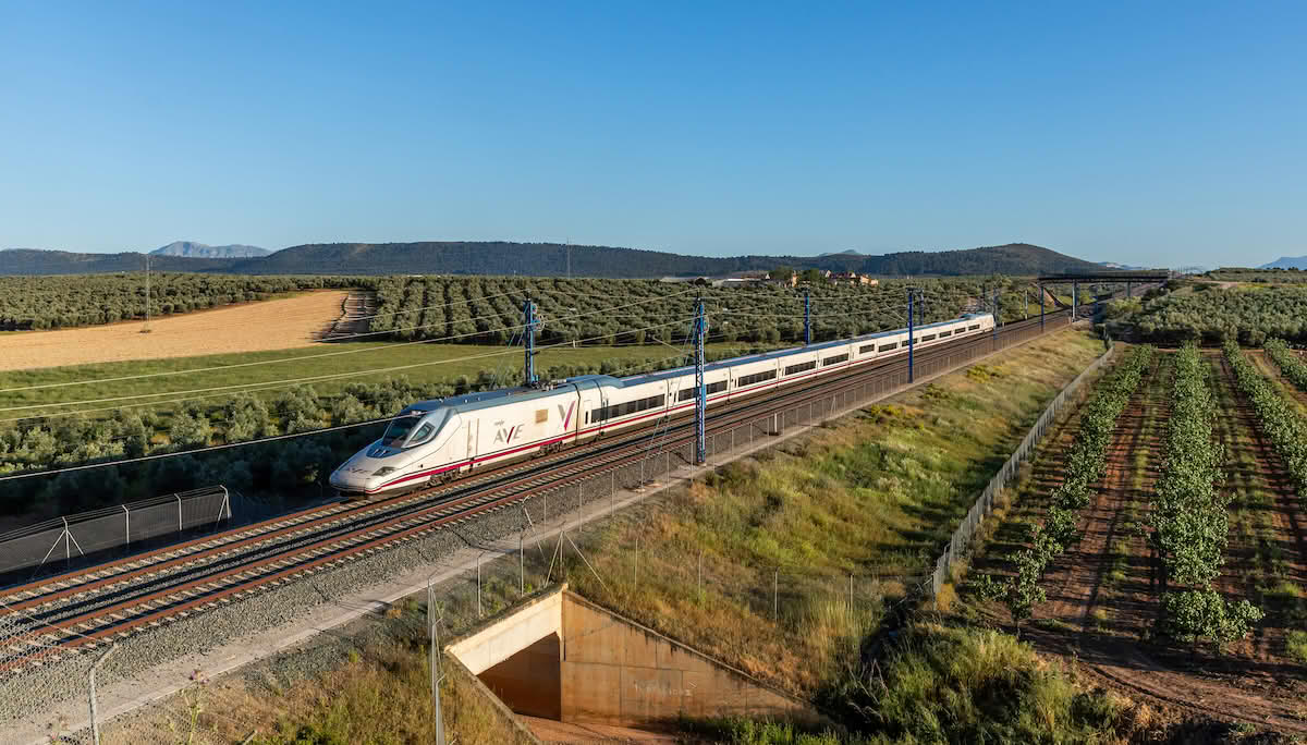 Un tren AVE atraviesa los olivares del paisaje español